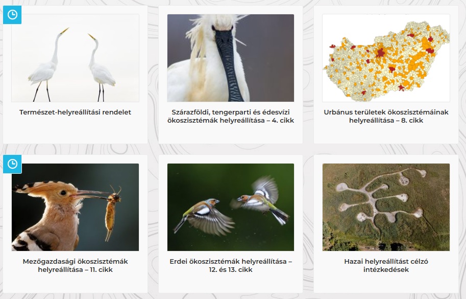 Az Agrárminisztérium rendeletről szóló honlapja.