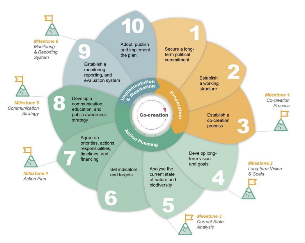'Urban Nature Plans cycle', azaz a városi zöldítési tervek tervezési és megvalósítási folyamatábrája. A 'Városi zöldítés eszközajánló' e folyamatábra egyes szakaszaihoz, feladataihoz rendel elérhető eszközöket. Forrás: kézikönyv, lásd a bejegyzés vége. 